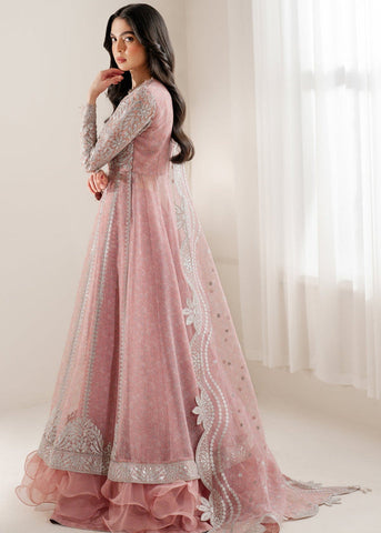 Jazmine Luxury Digital Printed Chiffon 3 Piece Unstitched